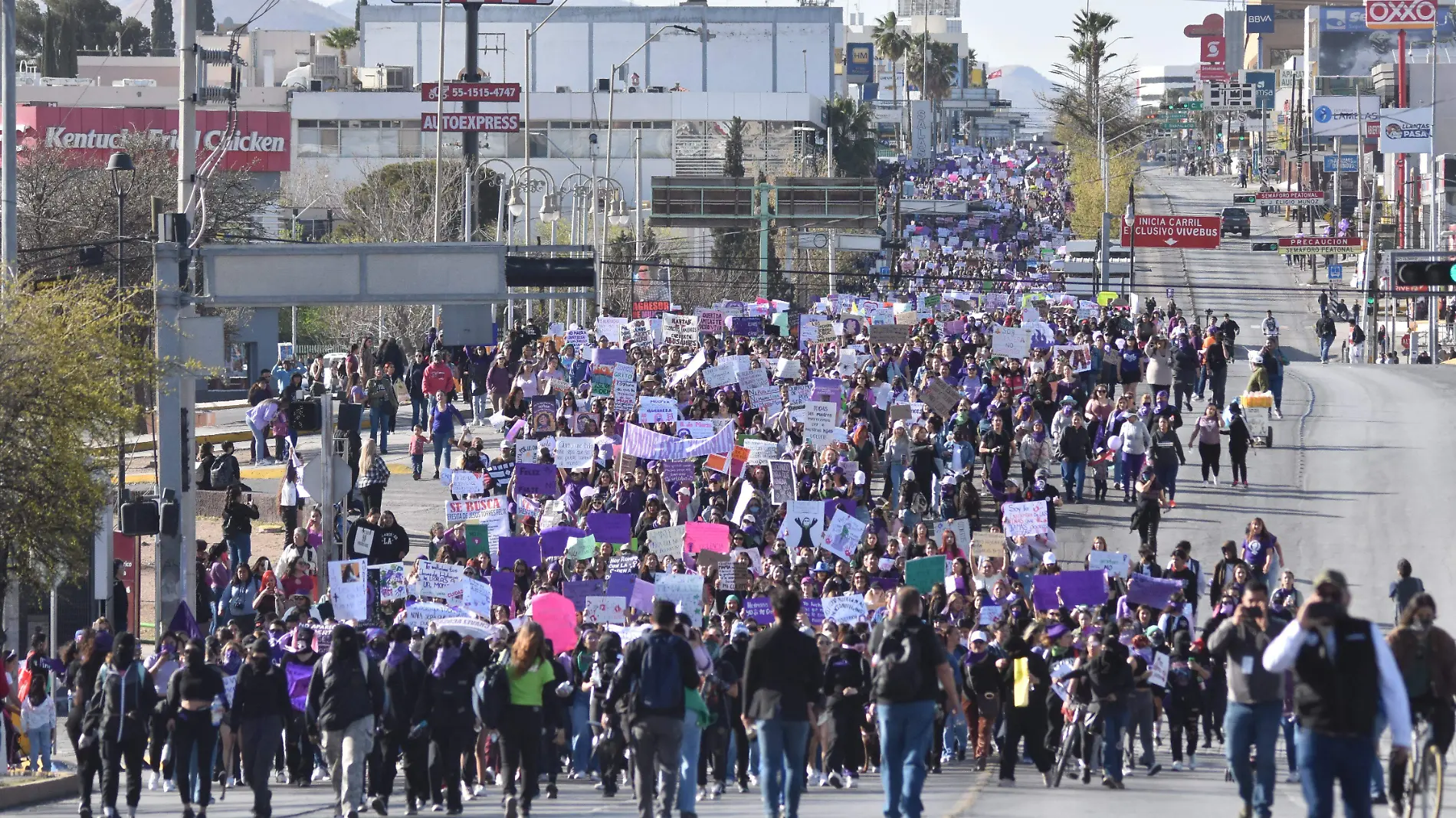 marcha (32)